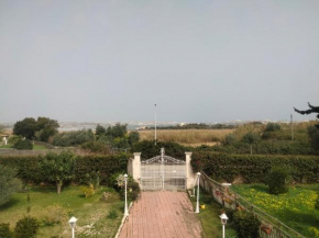 Camere Casa Rosa Isola
